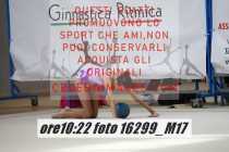 16299_M17-