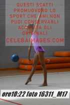 16311_M17-