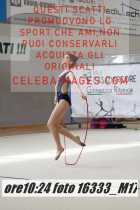 16333_M17-