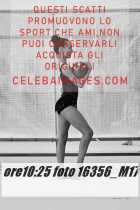 16356_M17-