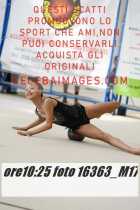 16363_M17-