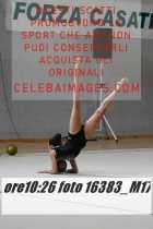 16383_M17-