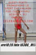 16386_M17-