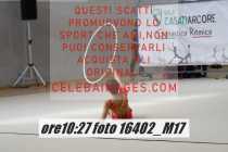 16402_M17-