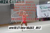 16403_M17-