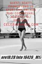 16426_M17-
