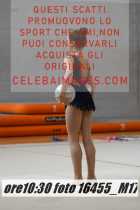 16455_M17-