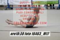 16463_M17-
