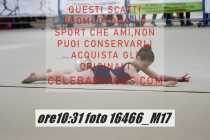 16466_M17-