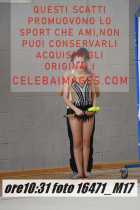 16471_M17-