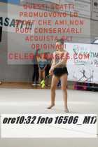 16506_M17-