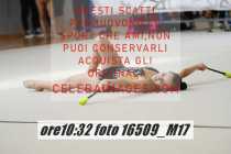 16509_M17-