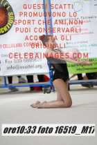 16519_M17-