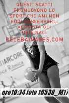 16538_M17-