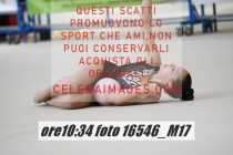 16546_M17-
