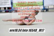 16548_M17-