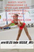 16558_M17-