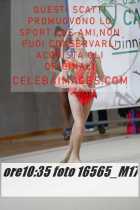 16565_M17-