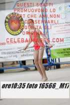 16566_M17-