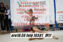 16581_M17-