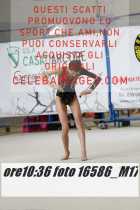 16586_M17-