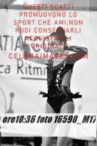 16590_M17-