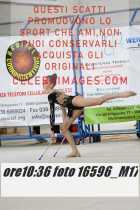 16596_M17-