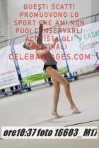 16603_M17-