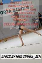 16605_M17-