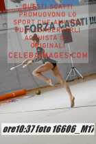 16606_M17-