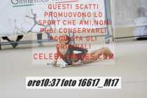16617_M17-