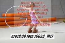 16633_M17-