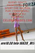 16639_M17-