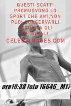 16646_M17-