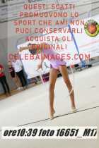 16651_M17-