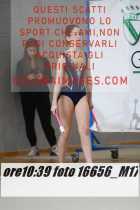16656_M17-
