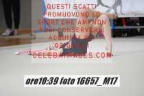 16657_M17-