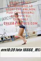 16666_M17-