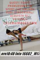 16682_M17-