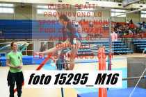 15295_M16-