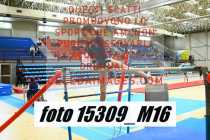 15309_M16-