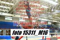 15311_M16-