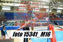 15341_M16-