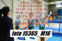 15365_M16-