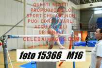 15366_M16-