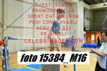 15384_M16-