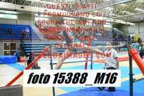 15388_M16-