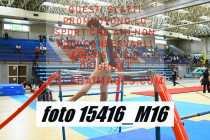 15416_M16-