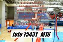 15431_M16-