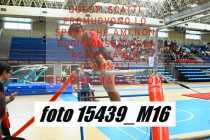 15439_M16-